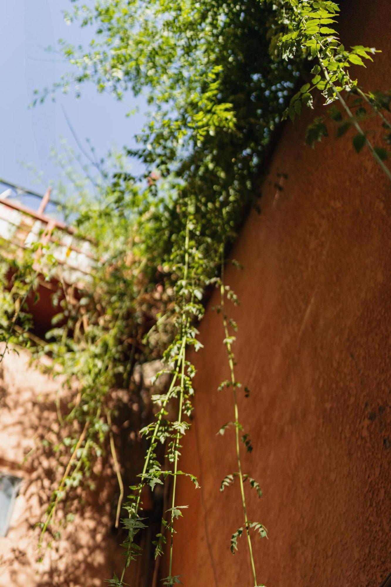 Riad Senja Марракеш Экстерьер фото